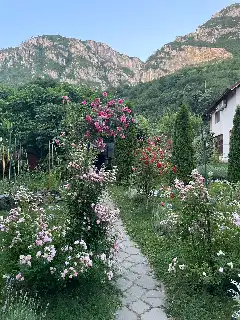 ROUA DE MUNTE exterior