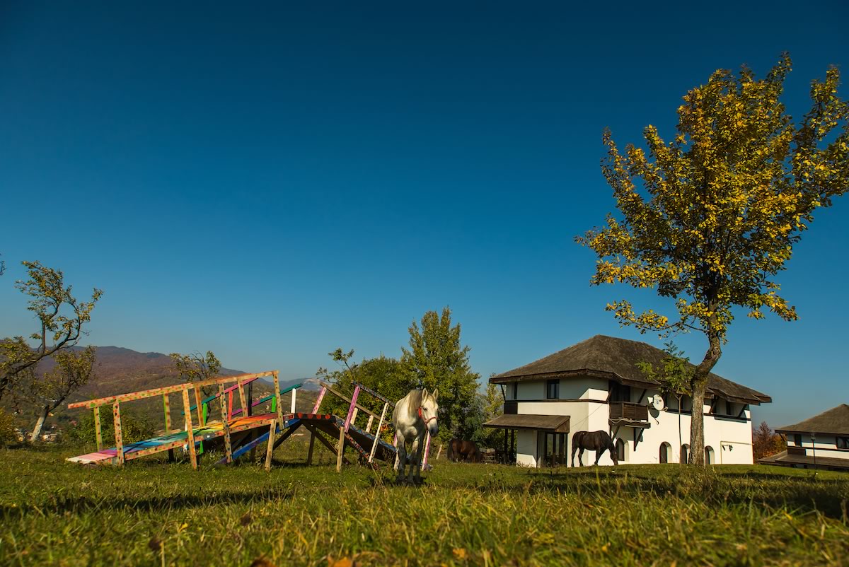 SATUL PRUNILOR exterior