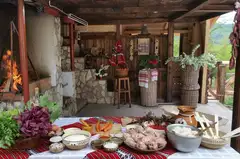 STEJARUL cover