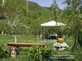 VALEA CERNEI exterior