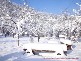 VALEA CERNEI exterior