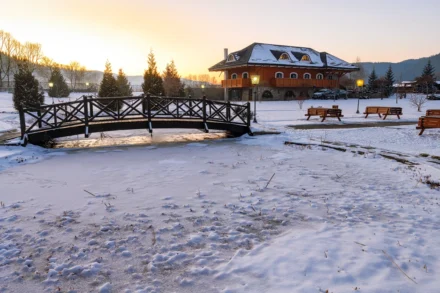 VARVARA DE BUCOVINA exterior