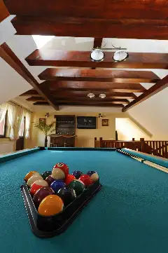 VILA AMBIENT facilități