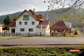 VOICHIŢA exterior
