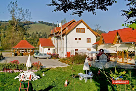 VOICHIŢA exterior