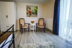 ZODIA CRAIULUI Joy Room