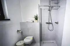 ZODIA CRAIULUI Joy Room